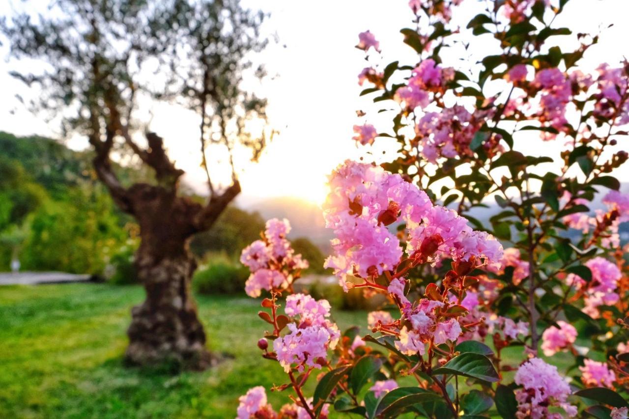 Prevalis Nature Cottage Virpazar Luaran gambar