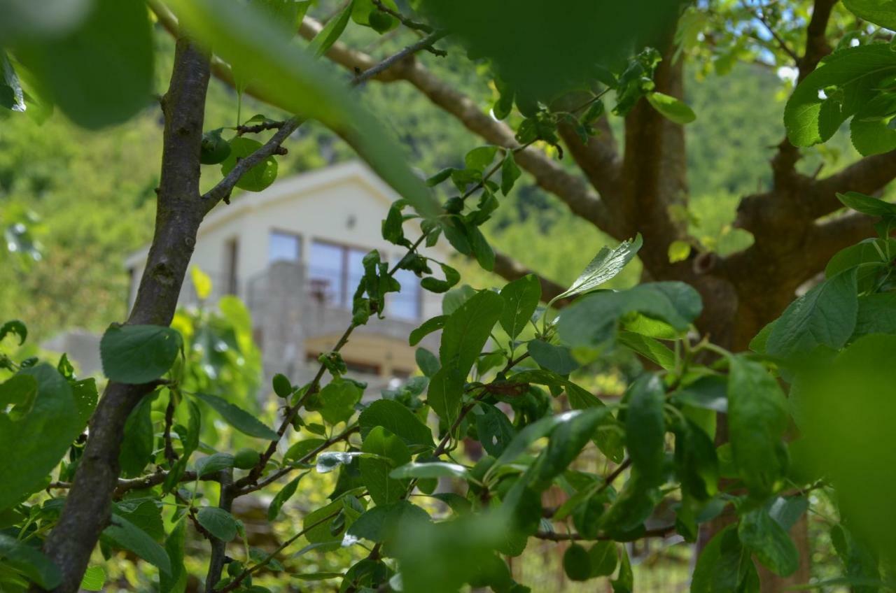 Prevalis Nature Cottage Virpazar Luaran gambar